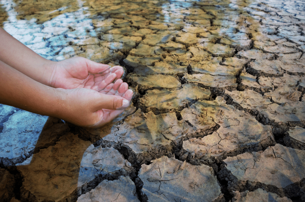 Sí, es posible: Aumenta tus cosechas y Ahorra agua a pesar de la sequía y sin gastar más