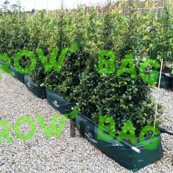 Hedge bag with two handles