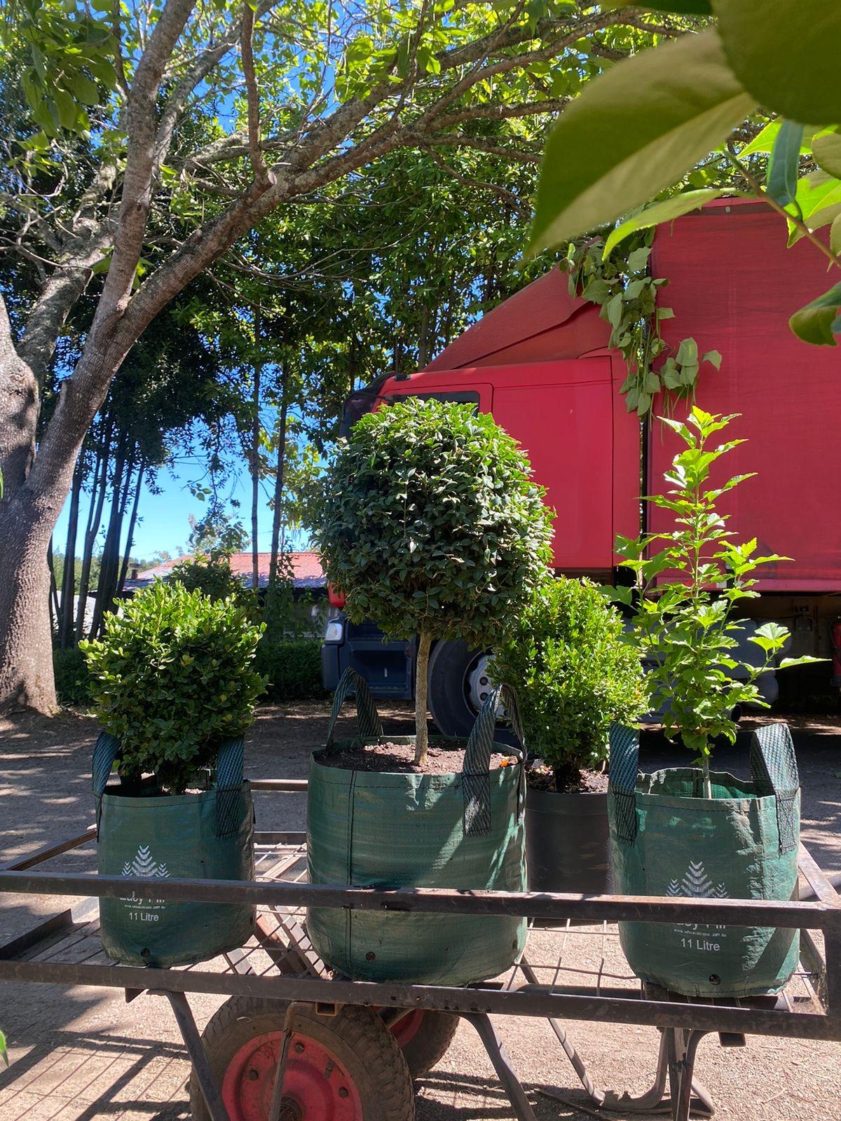 15 litros   Bolsa de Cultivo con 2 asas