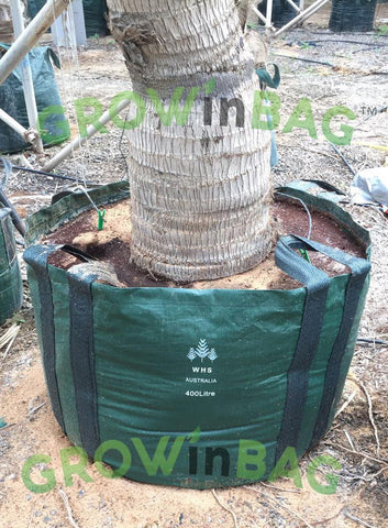 300 litros Bolsa de Cultivo con 4 asas