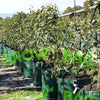 Image of garden bag 40 Gallon with 4 Handles