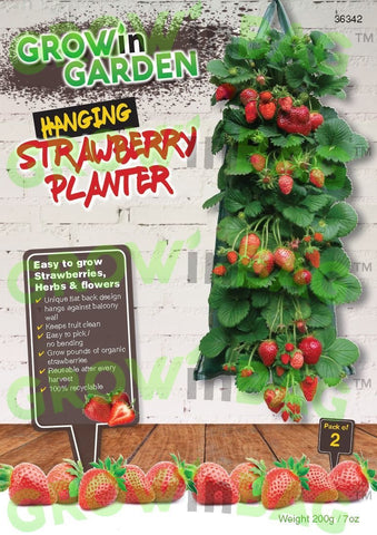  Hanging strawberry planter