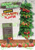 Image of  Hanging strawberry planter