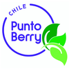 Image of PuntoBerry (Chile). Estefani Aguilera, Ingenierio de Producción.